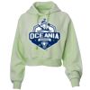Soft Fleece Cropped Hoodie Thumbnail