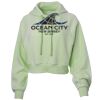 Soft Fleece Cropped Hoodie Thumbnail