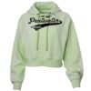Soft Fleece Cropped Hoodie Thumbnail