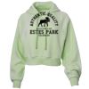 Soft Fleece Cropped Hoodie Thumbnail