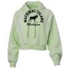 Soft Fleece Cropped Hoodie Thumbnail