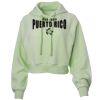 Soft Fleece Cropped Hoodie Thumbnail