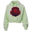 Soft Fleece Cropped Hoodie Thumbnail