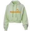 Soft Fleece Cropped Hoodie Thumbnail