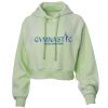 Soft Fleece Cropped Hoodie Thumbnail