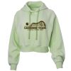 Soft Fleece Cropped Hoodie Thumbnail