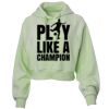 Soft Fleece Cropped Hoodie Thumbnail