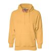 Heavy Weight Pullover Hoodie Thumbnail