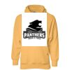 Heavy Weight Pullover Hoodie Thumbnail